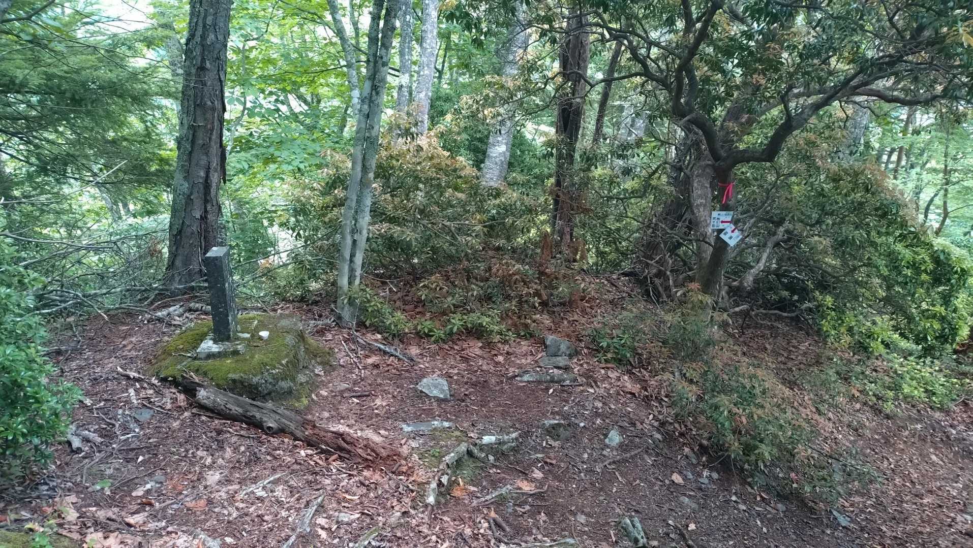 笊ヶ岳山頂では「また来ればいいや」なんて思ったワタシは間違いでした❌️
マジで心折れました😫
この果てしない上り下りを安易に再訪するなど言ってはいけないコトを痛感しました😭
山の神に無事下山できることを切に祈りました😂🙏