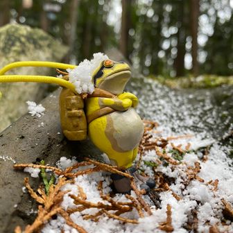 カエルさんも雪デビュー🐸
