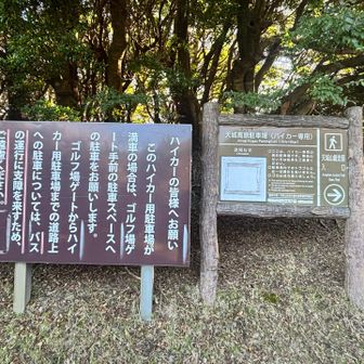 石楠花の時期とかは混むのかな
