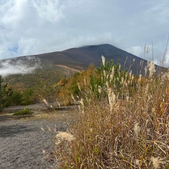 秋のススキも🌾🍂