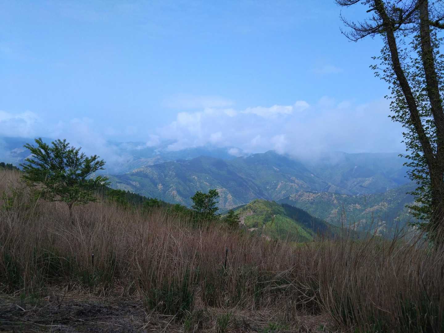 下山終了🙌