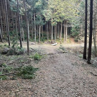 配水場から先は歩きやすい広い道です。
天覚山への尾根道との合流点に出ました。