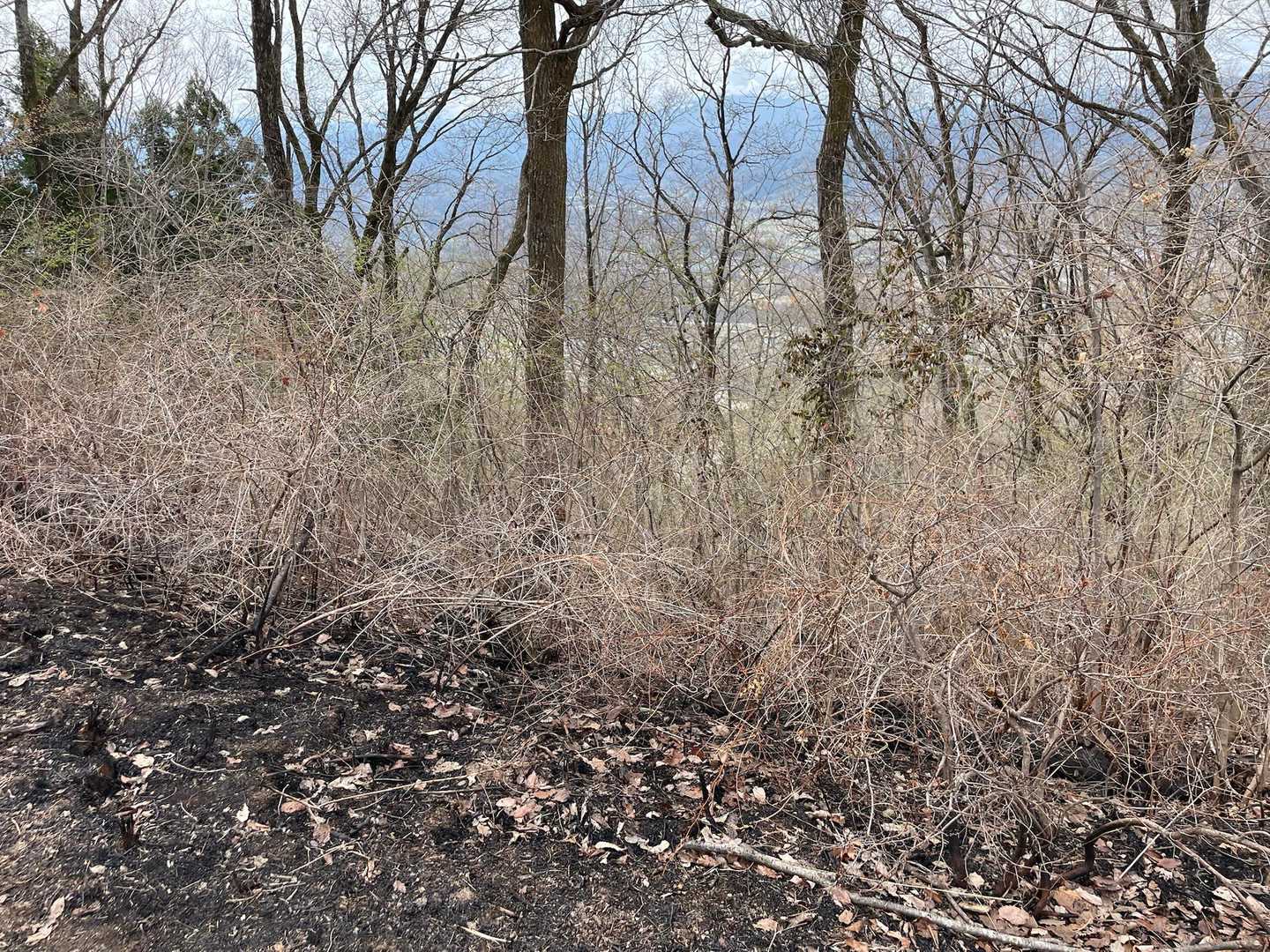 3月24日の火事の爪痕です。
ホントに酷いことするな…