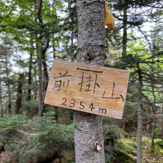 ピークハント
展望ないです。