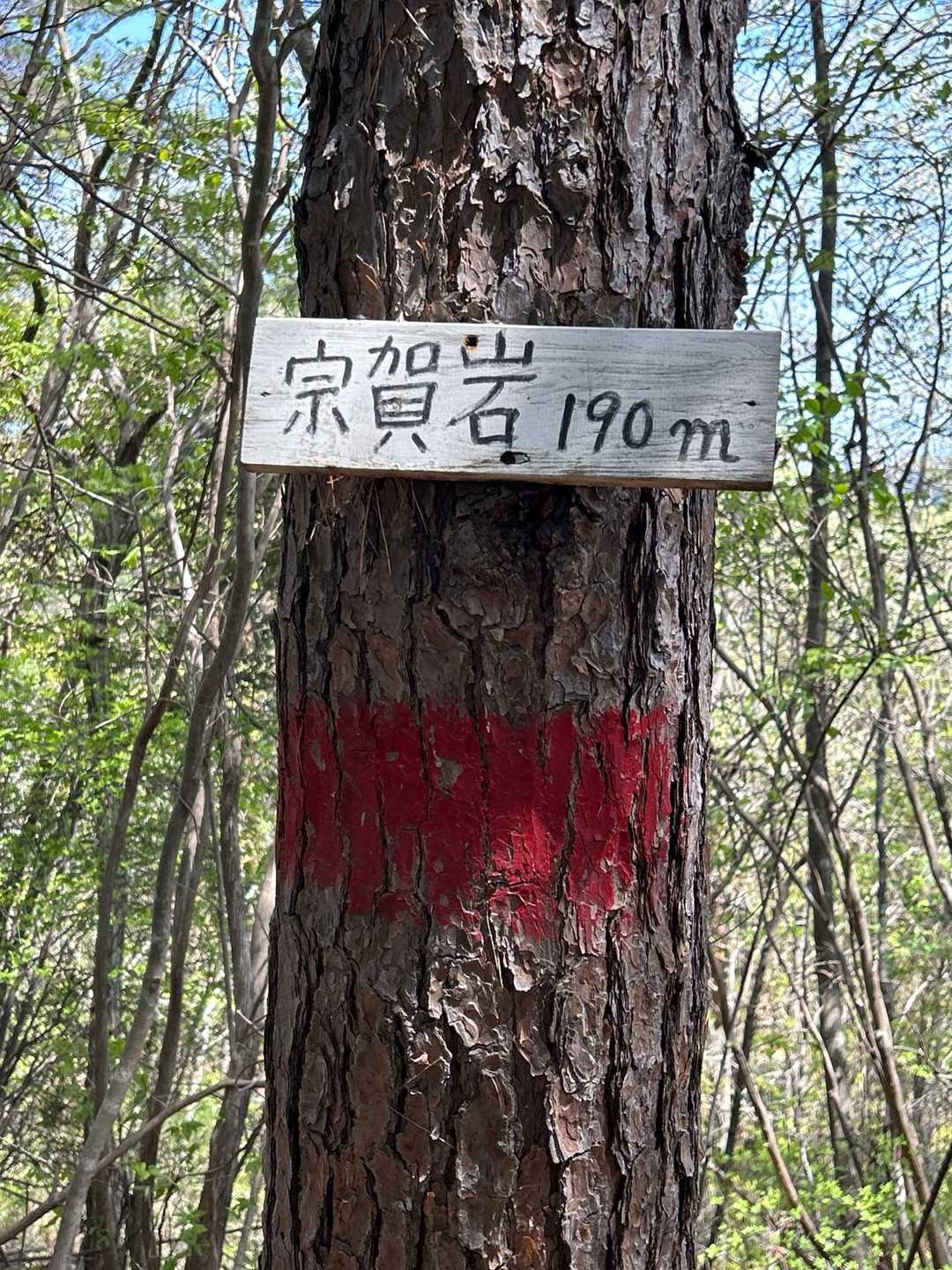 宗賀岩頂上