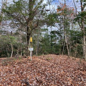 展望はありません…