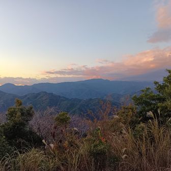 (11)ダム馬鹿(ワイ)「北西にみえるアレが天城山やな？(※違いました)」