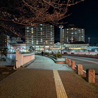 特徴のあるS字に曲がった宝来橋を渡るとゴールです！まさにウイニングブリッジですね😊