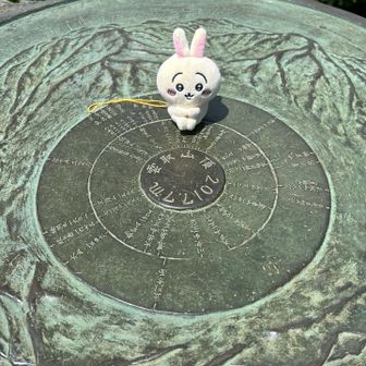 うさぎと一緒に