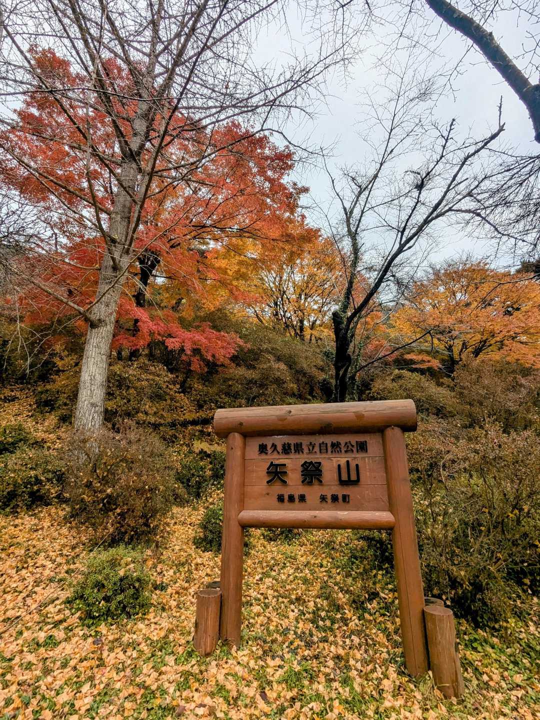 久々の登山に出発〜！！