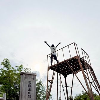             🐒🙌
               🪜
奥医王山