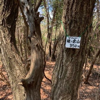 山頂？YAMAPはココを指すみたい