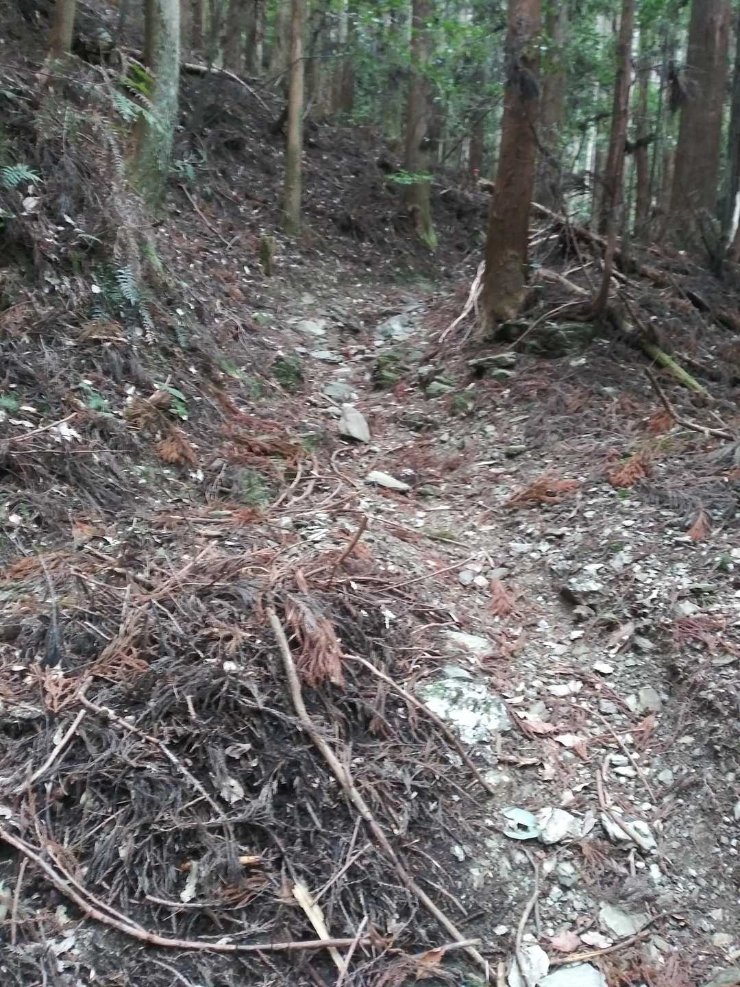最初の30分位は歩きにくい😢