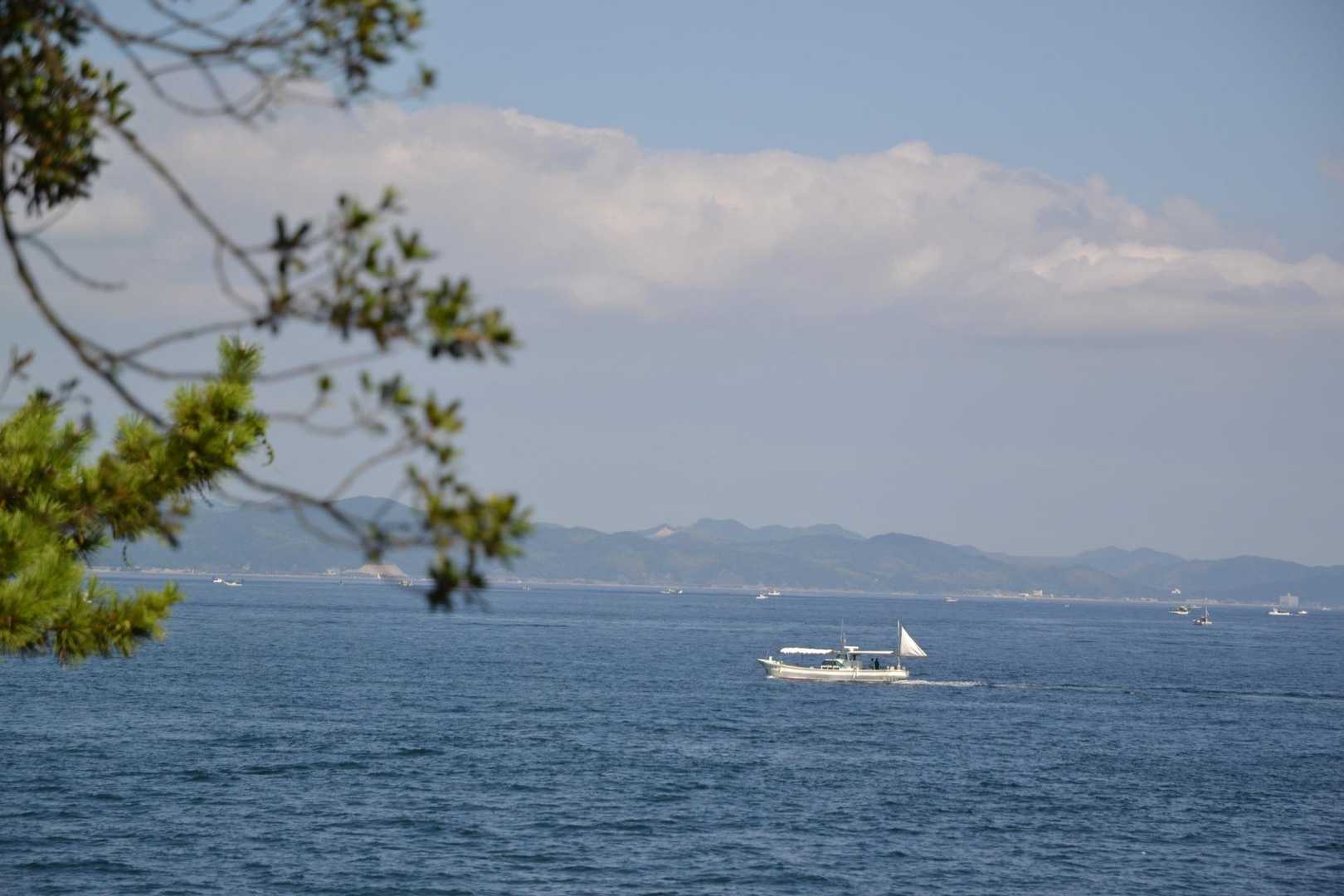 釣船もたくさん出航してたよ🐟