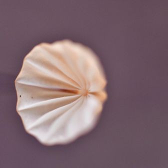 🧡中を見る