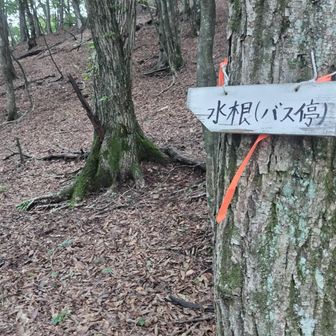 この先から急坂始まる