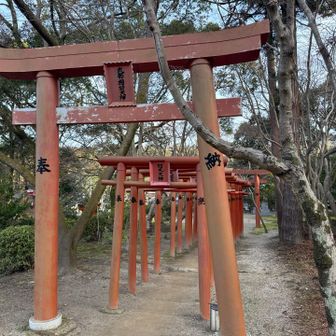 今日は急ぎつつ写真撮りながら🙌(じゃないとしんどいと思われるw)