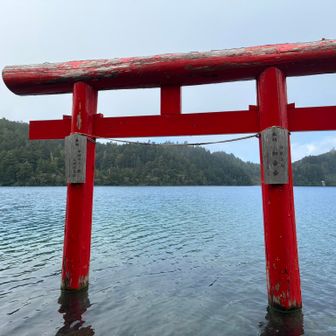 大蛇神社の鳥居⛩️