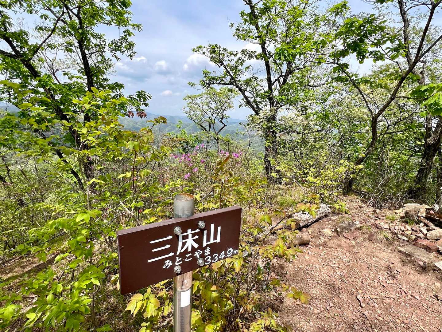 三床山頂⛰️
周辺には、ミツバツツジやヤマツツジがたくさん咲いています☺️🌺