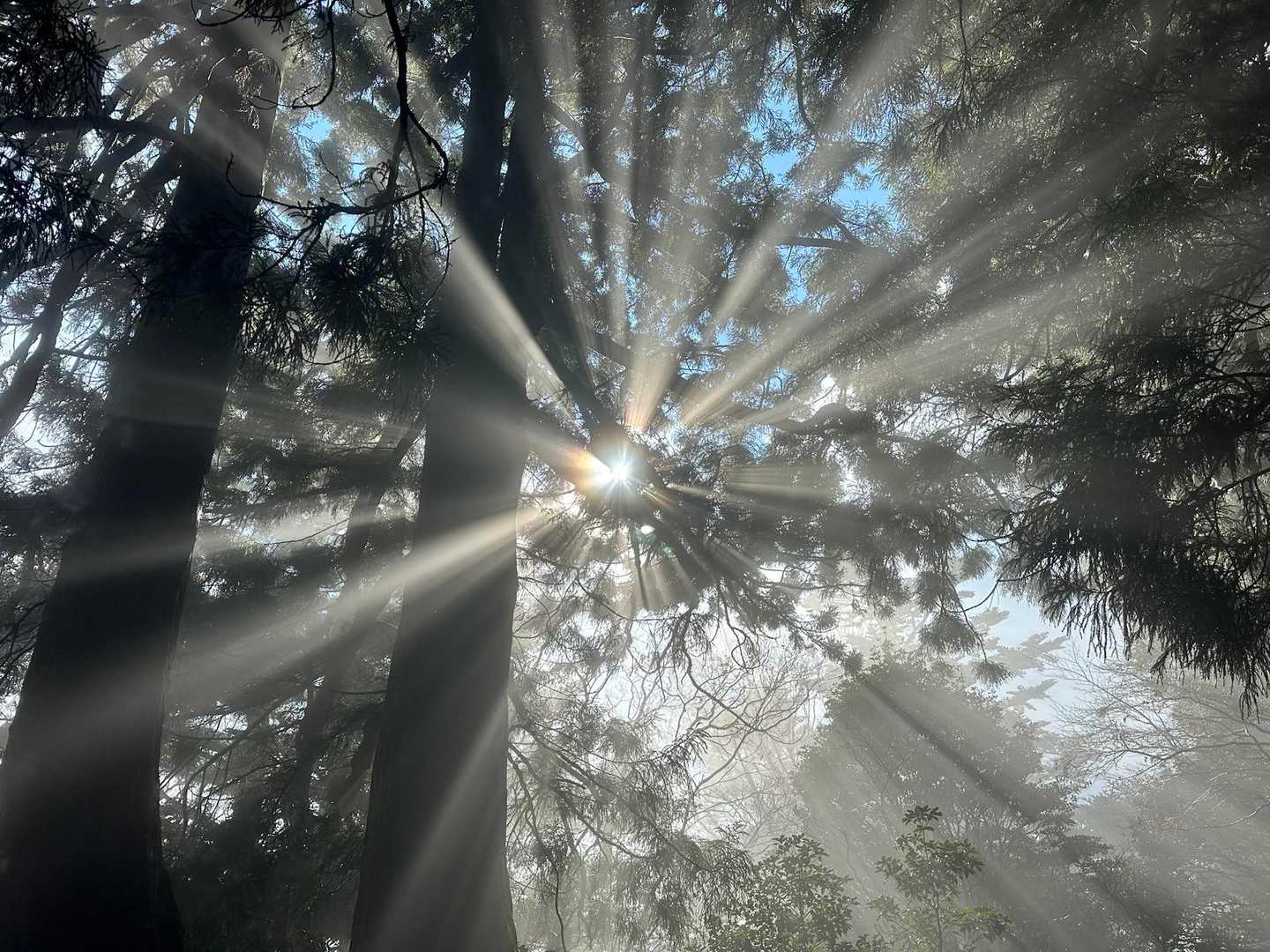太陽ありがとう😊