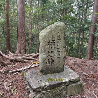 ここが峠の頂上というわけではないそう。個人の方が建てたのだとか。