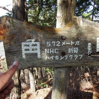 ダックスフンド標識