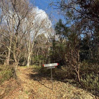 👆ここに出て来ました