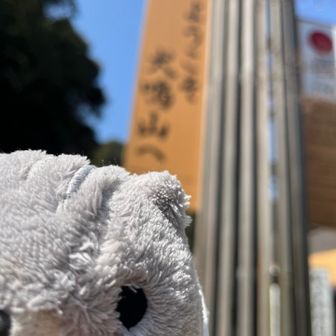 もう一丁パシャリ📷