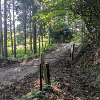 下山地点
【山本山】付近の登山道は蜘蛛の巣だらけとの情報得て、その手前で降りた。