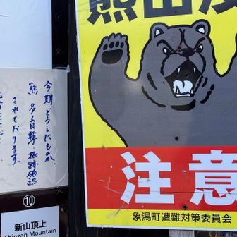 ほんと、どうしたものか？
ですわよね🐻