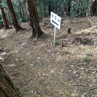 ちょっと戻って雄笠山行ルートへ。