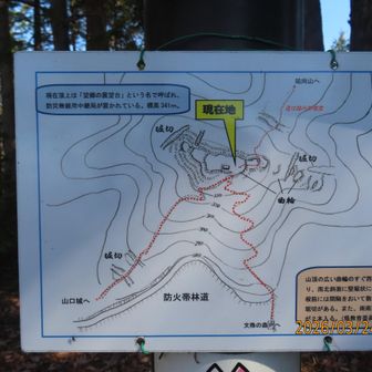 法林寺城趾縄張図