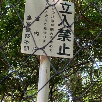 隣は修学院離宮の敷地