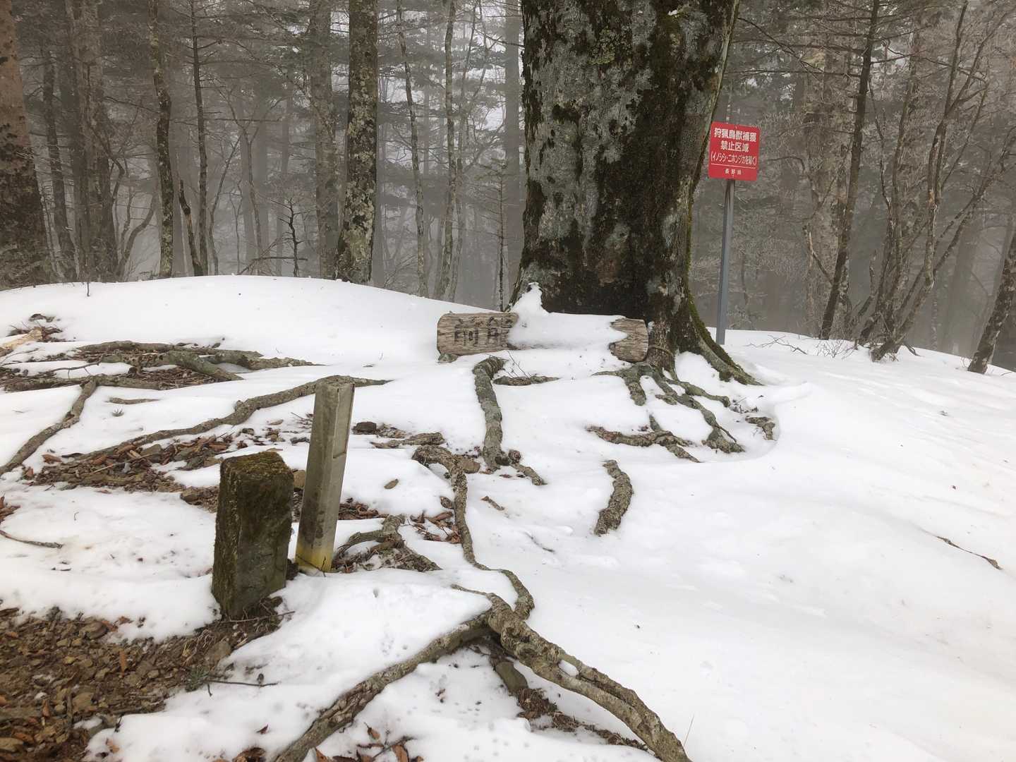 ラッセル頑張って前熊伏山✨