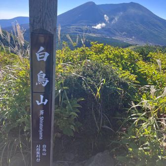 眺望よし