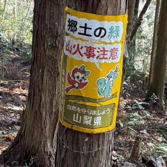 🐦と🐿️バージョン