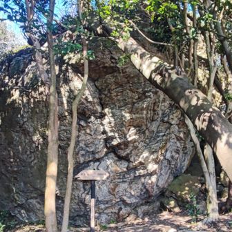 雨宿り岩
写真では分かりにくいけど、岩の下に立てば確かに雨宿りできそうでした😊