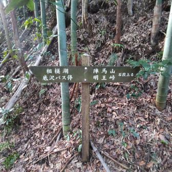 民家のそばに降りてきました。