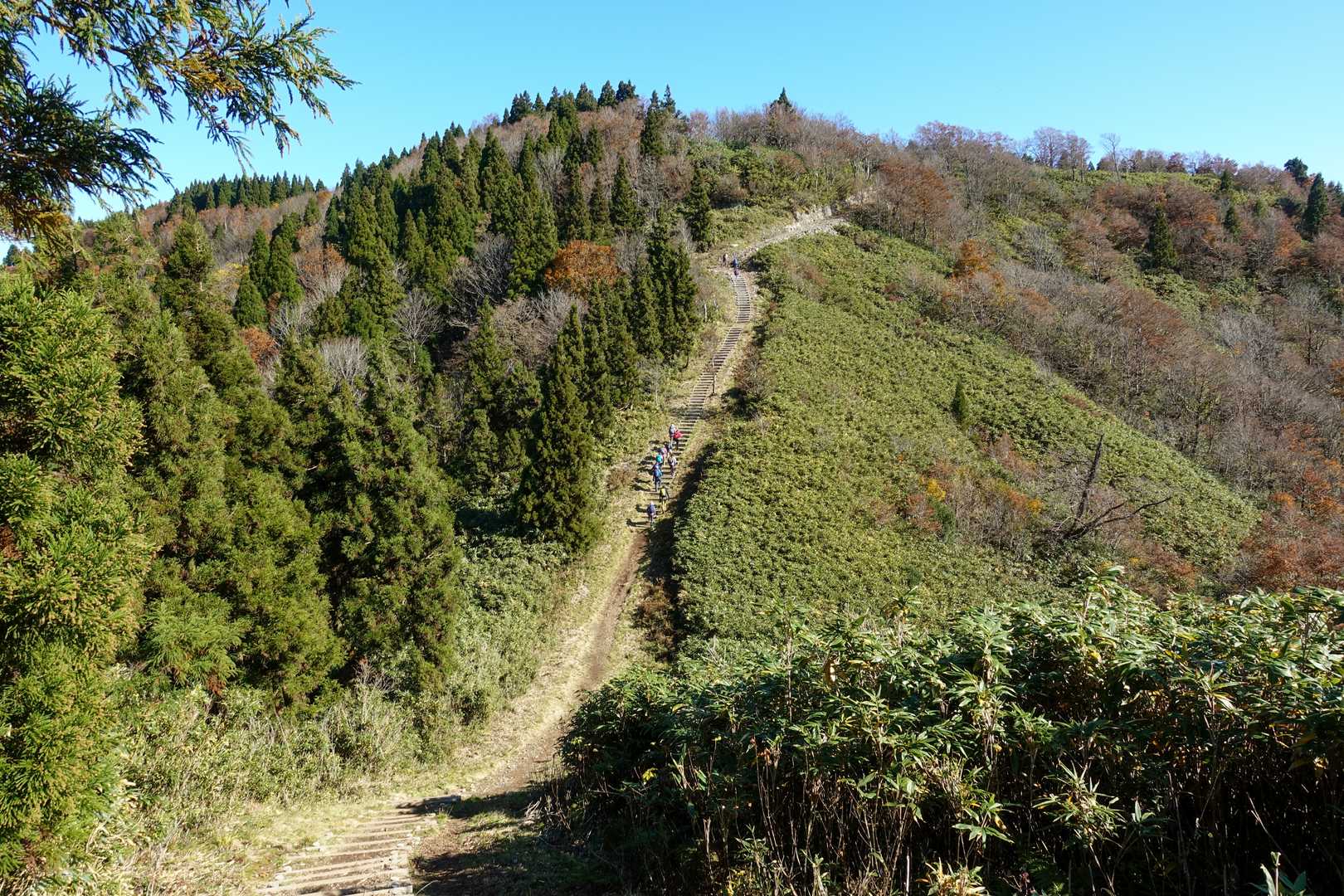 高清水トレイル登山口-大畝山-御林山-池川山-ブナの谷頭- 往復コースの写真