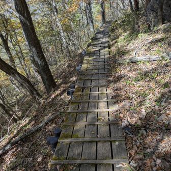 南登山道は良く整備されてます