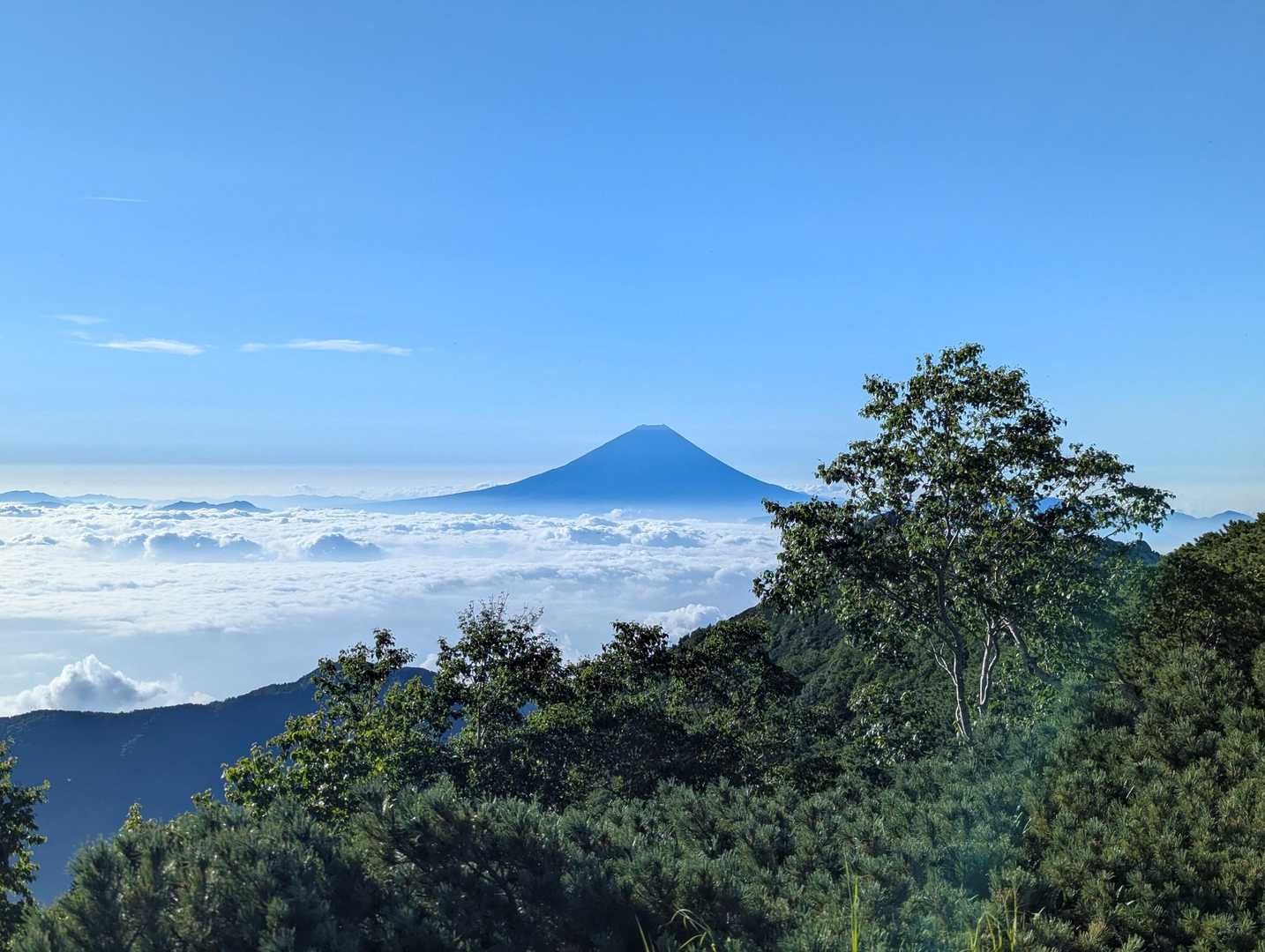 ドンドコ沢-地蔵岳-観音岳-薬師岳-中道 周回コースの写真
