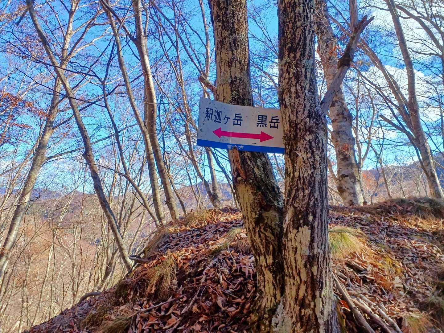 黒岳へ向かう
