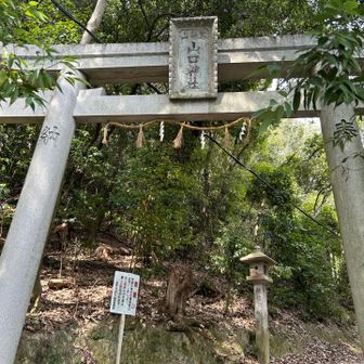 登山口付近に鳥居⛩️
山頂近くにお社がありました。