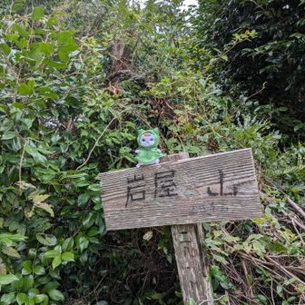 石碑がある広場から斜め後ろにひっそりある山頂😸