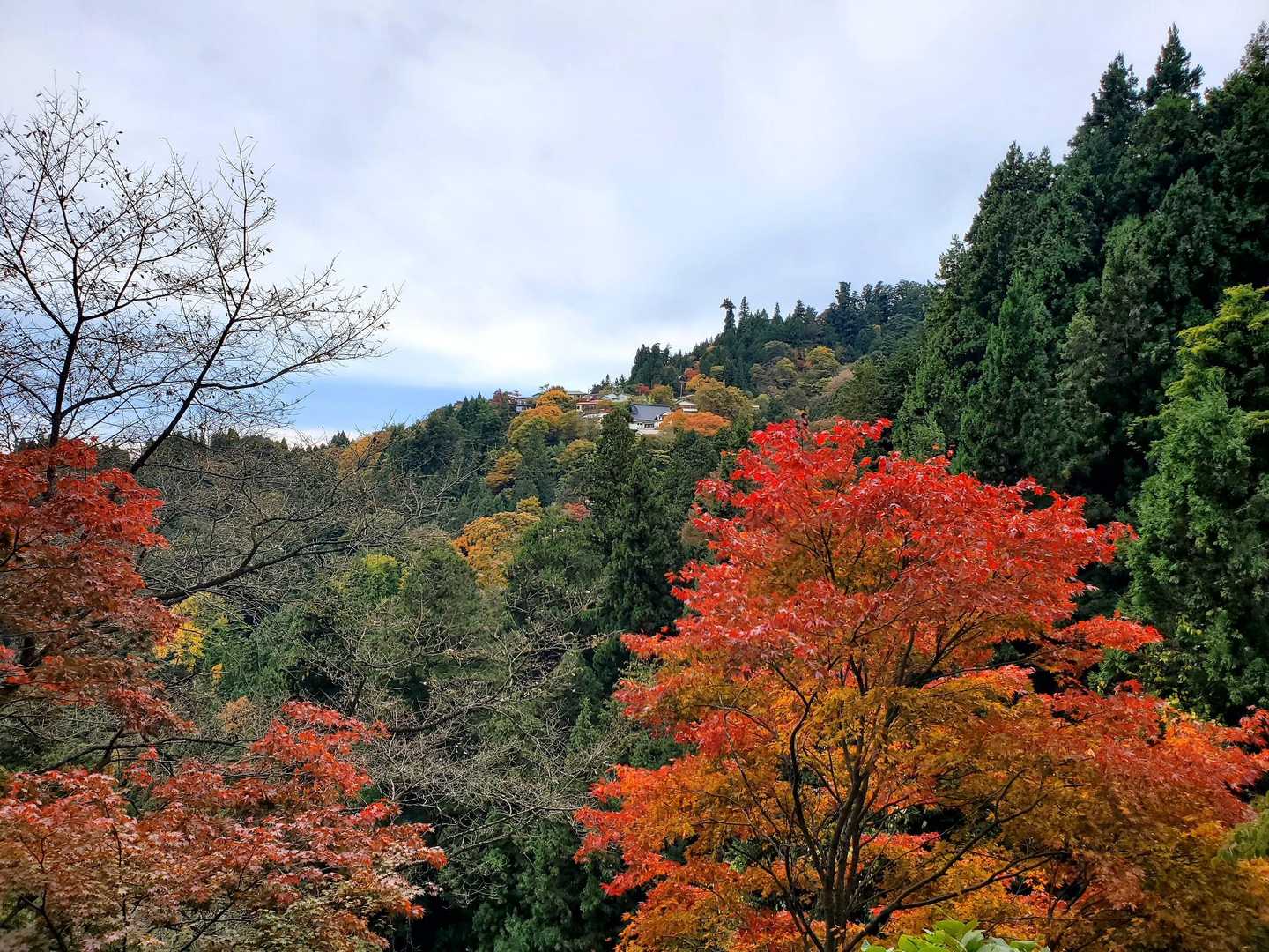 宿坊の街、御岳山⛰️