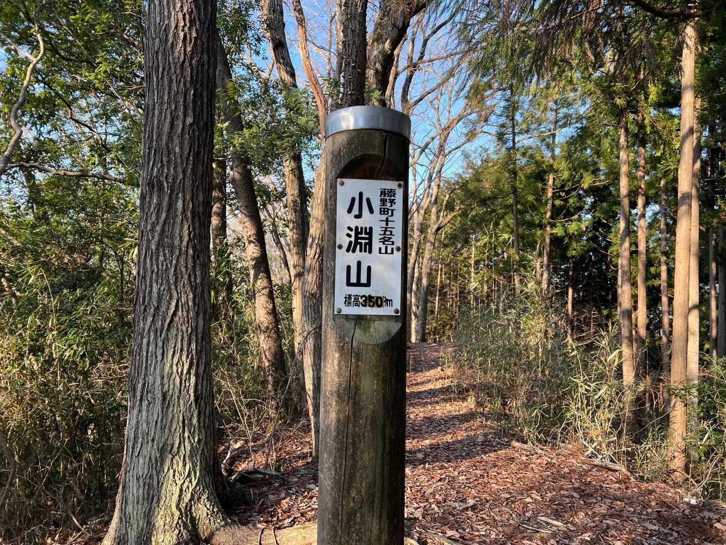2つ目のピーク