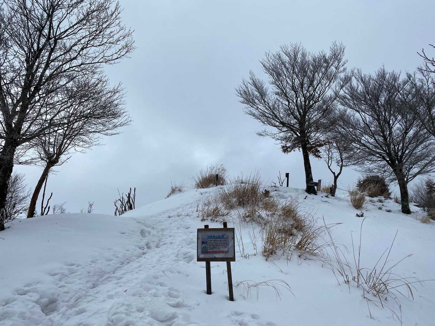 上の登山口-国見山 往復コースの写真