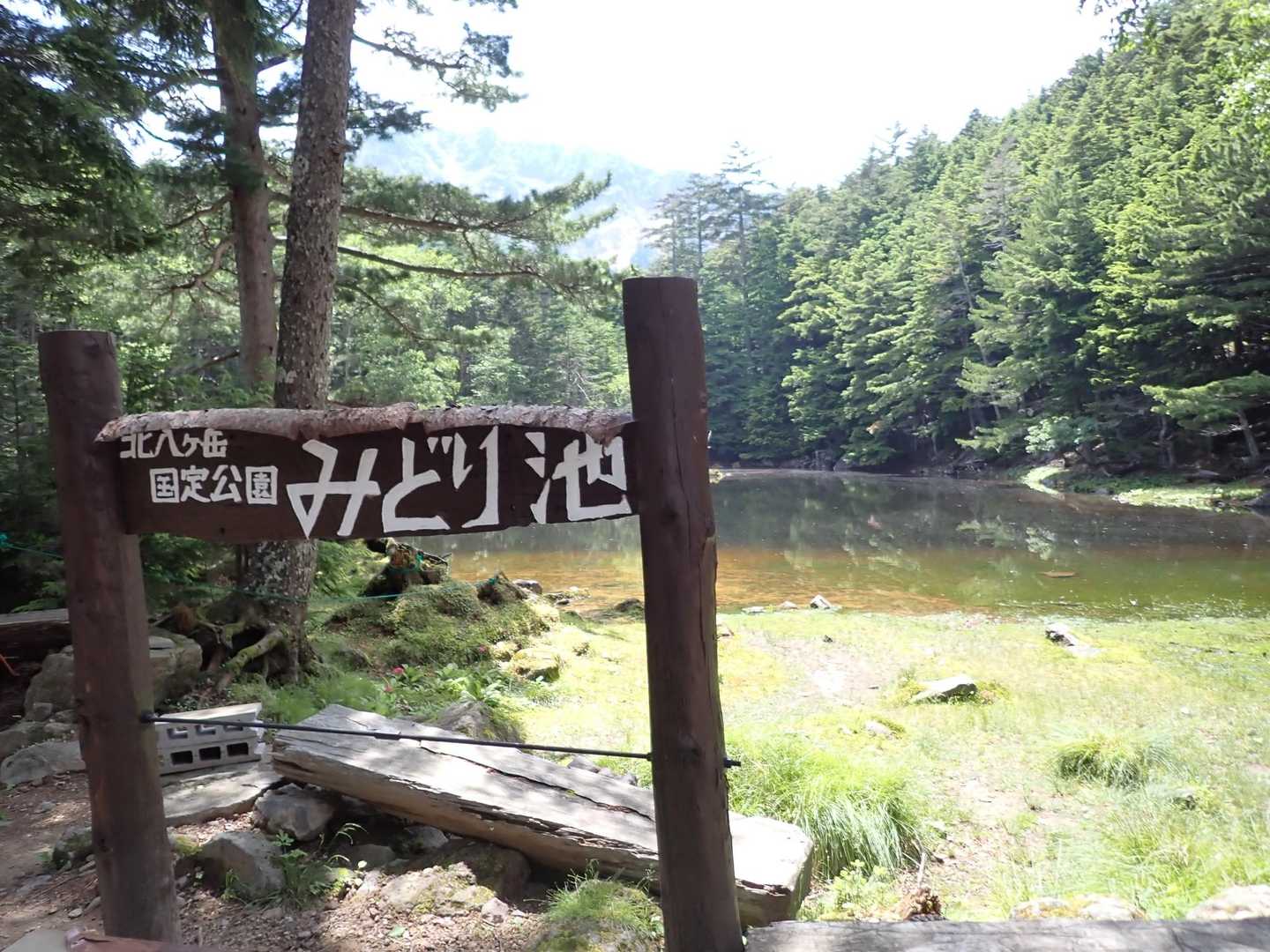 みどり池✨