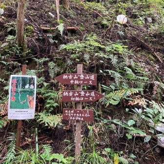 久しぶりの納古山
中級コースからスタート