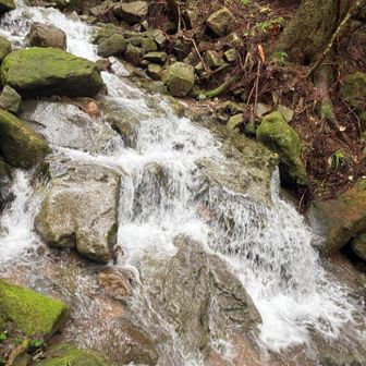 大雨の後だから水の勢いが凄かった
